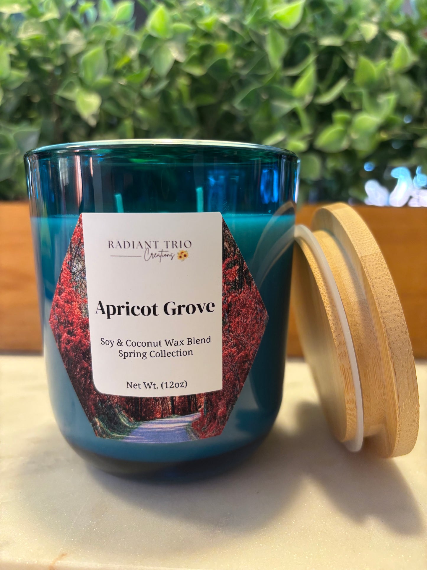 12oz Apricot Grove Candle
