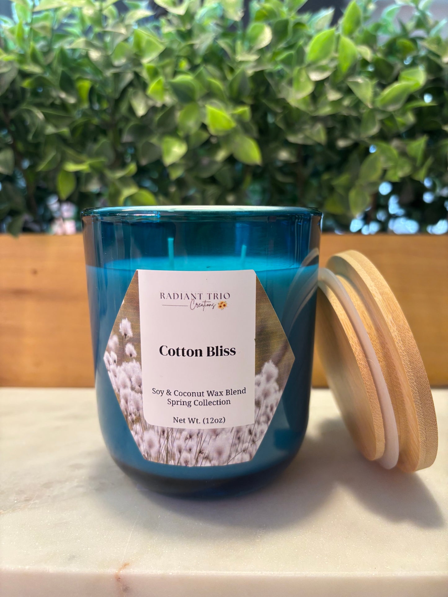 12oz Cotton Bliss Candle